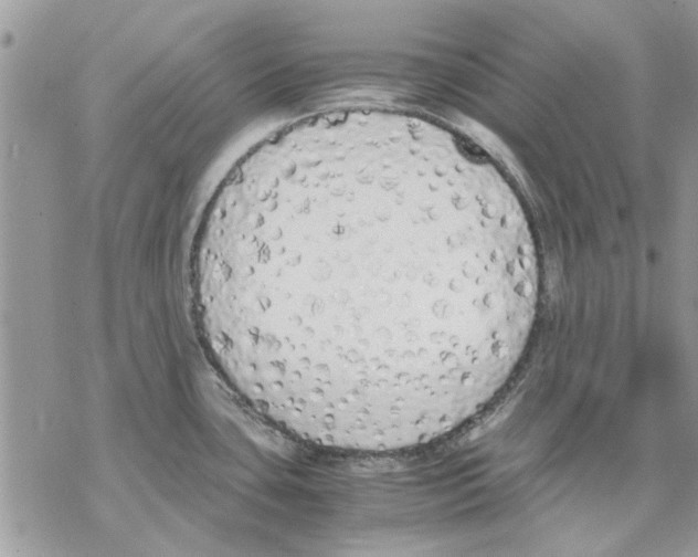 X0000069391435200606021621