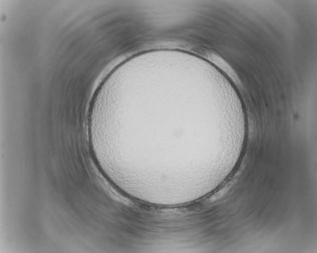 X0000069391436200606021621