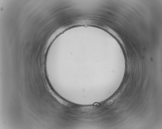 X0000069391437200606021621