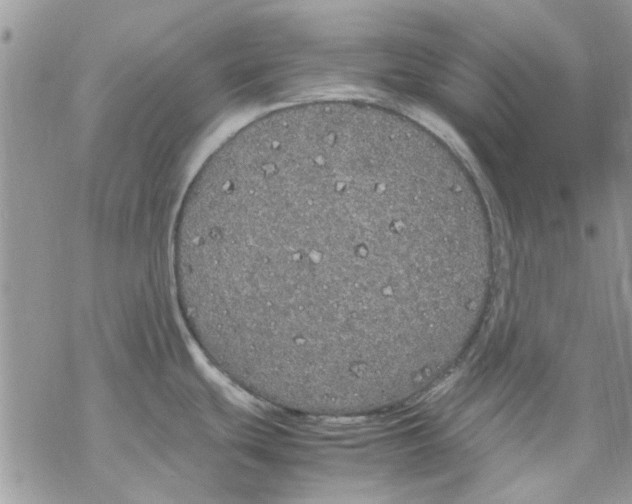 X0000069391439200606021621