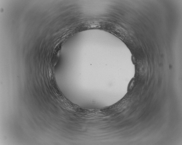 X0000069391442200606021620