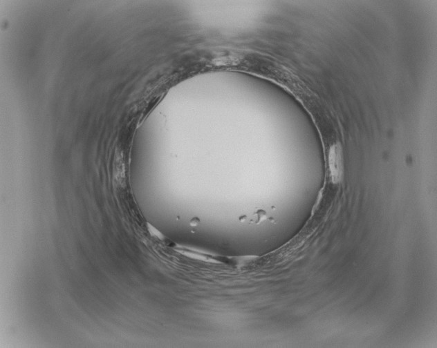 X0000069391443200606021620