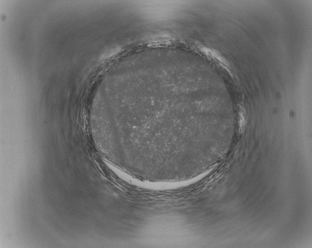 X0000069391445200606021620