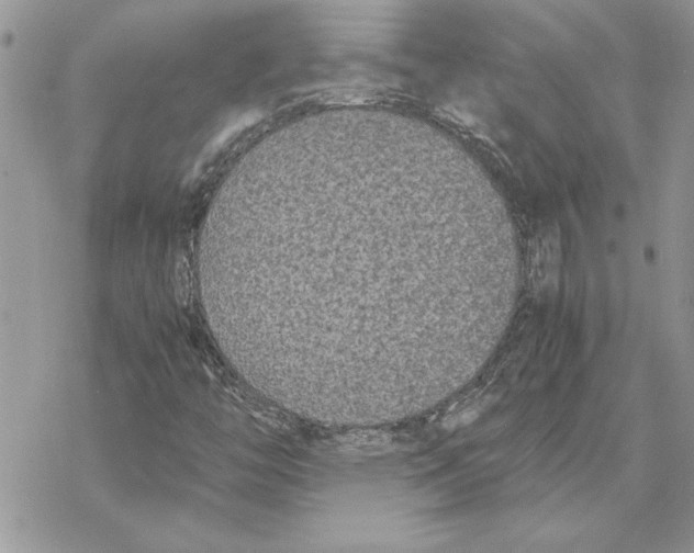 X0000069391446200606021620