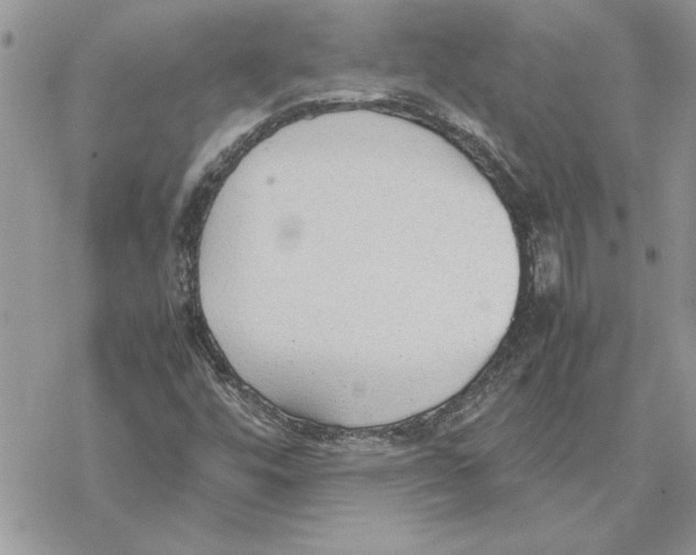 X0000069391448200606021620