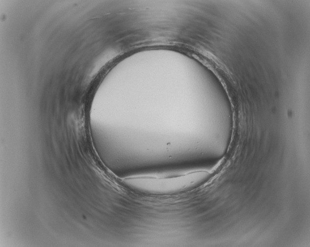 X0000069391450200606021620