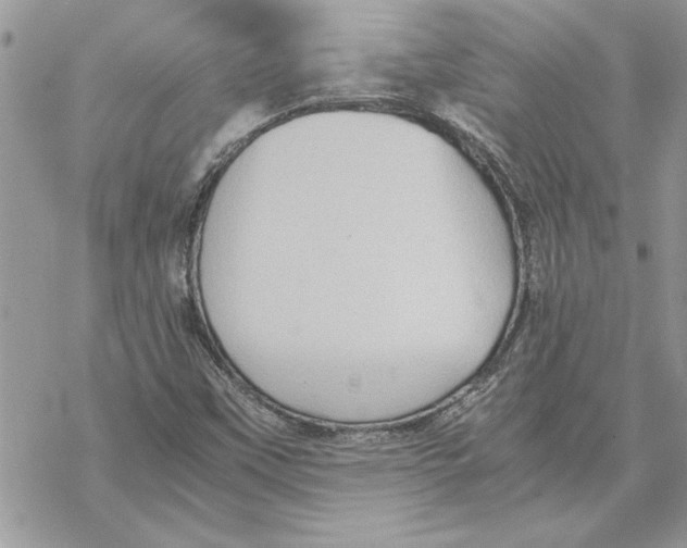 X0000069391451200606021620