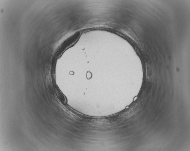 X0000069391452200606021620