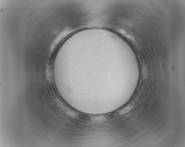 X0000069391454200606021620