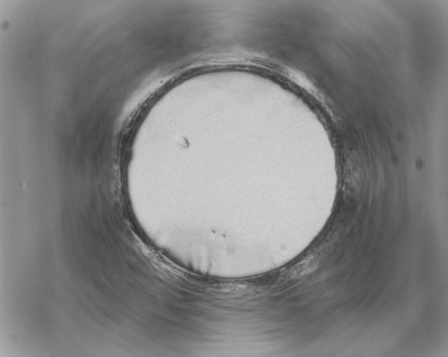 X0000069391456200606021620