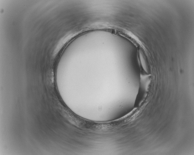 X0000069391461200606021620