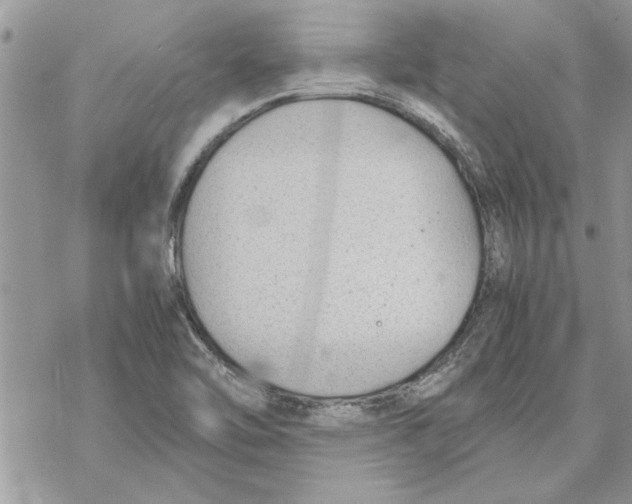 X0000069391462200606021620