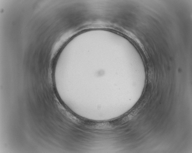 X0000069391464200606021620