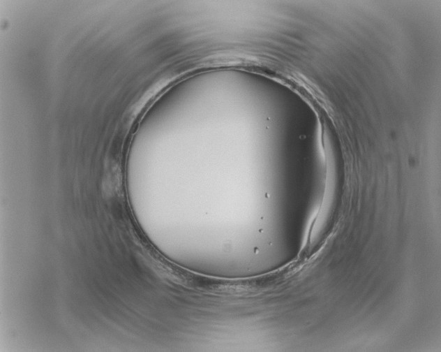 X0000069391465200606021620