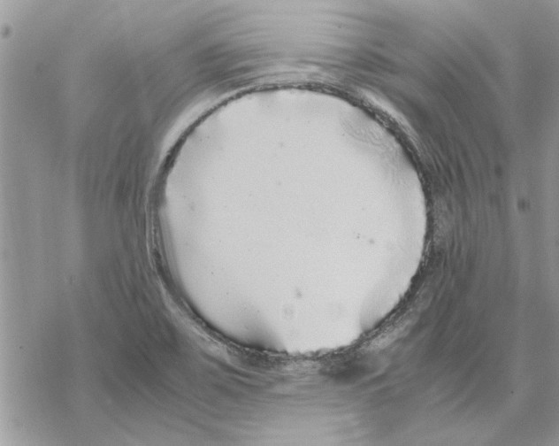 X0000069391467200606021619