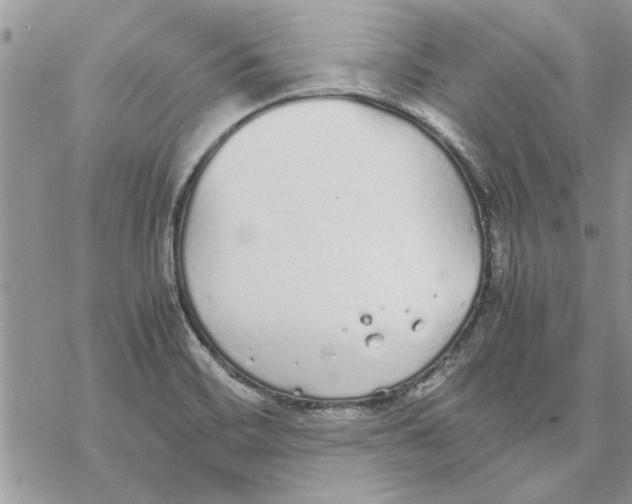 X0000069391468200606021619