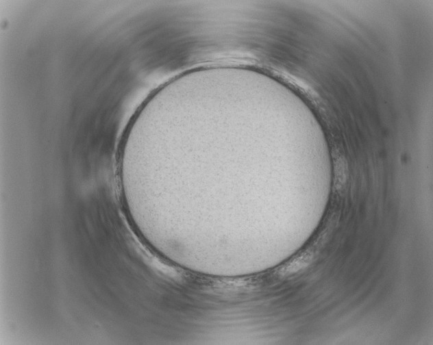 X0000069391470200606021619