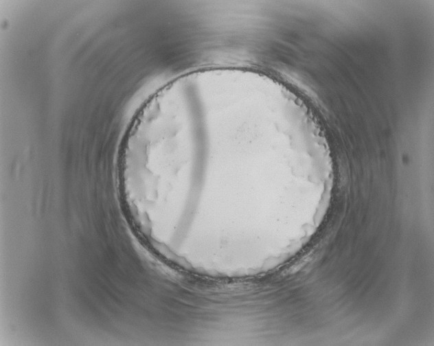 X0000069391471200606021619