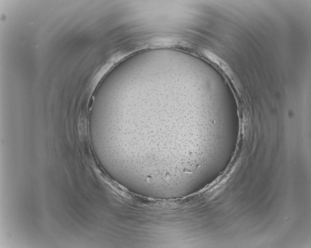 X0000069391473200606021619