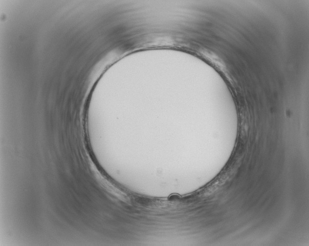 X0000069391475200606021619