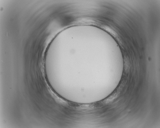 X0000069391478200606021619