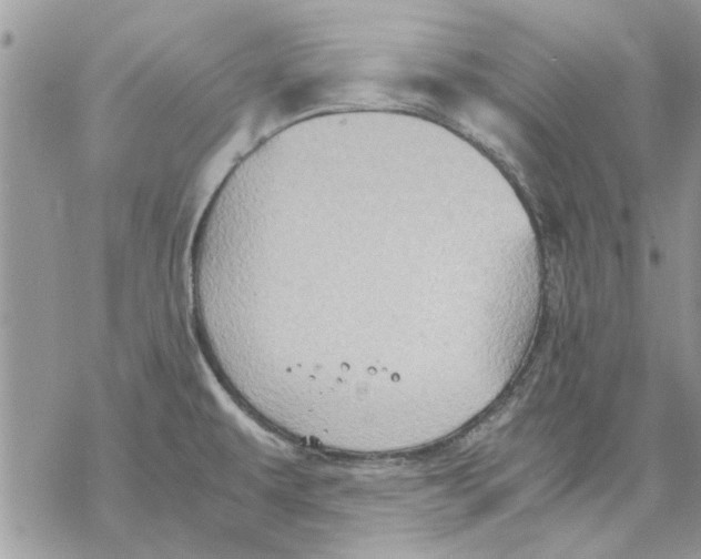 X0000069391479200606021619