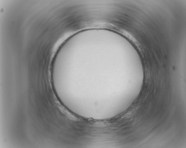 X0000069391480200606021619