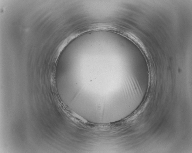 X0000069391481200606021619