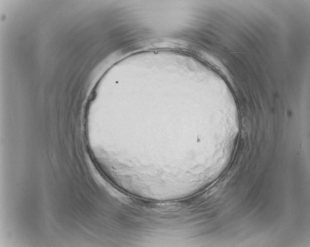 X0000069391483200606021619