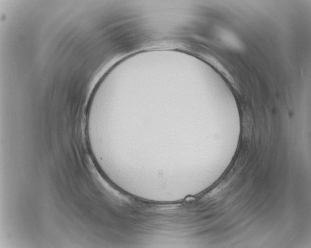 X0000069391484200606021619