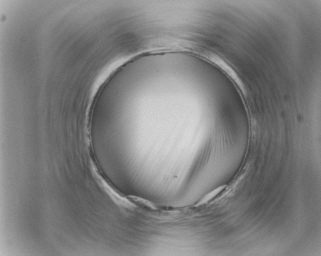 X0000069391485200606021619