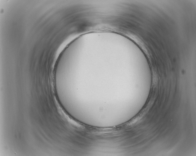 X0000069391486200606021619