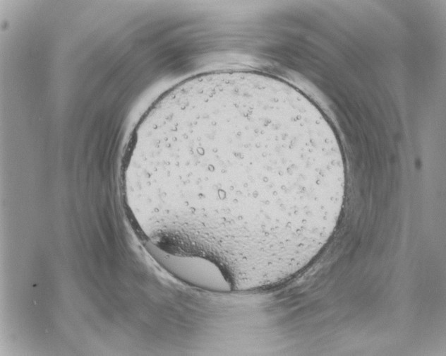 X0000069391488200606021619