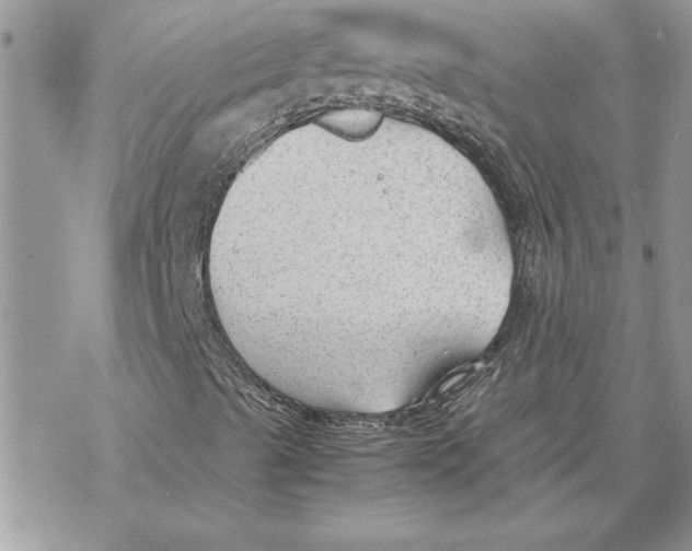 X0000069391489200606021618