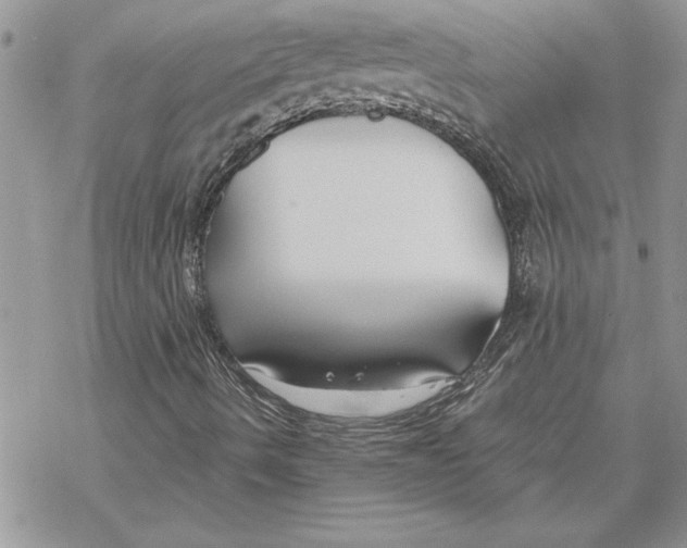 X0000069391490200606021618