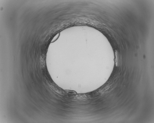 X0000069391491200606021618