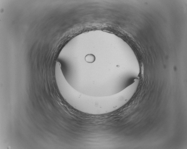 X0000069391492200606021618