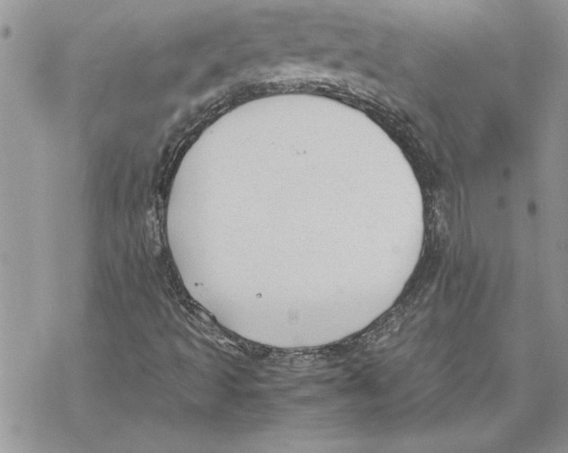 X0000069391493200606021618