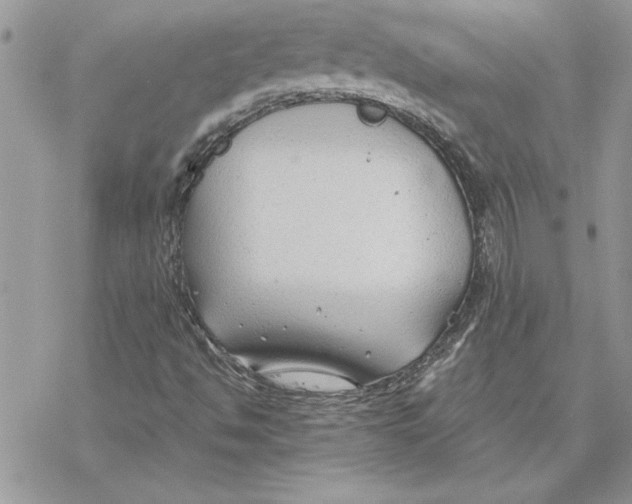 X0000069391494200606021618