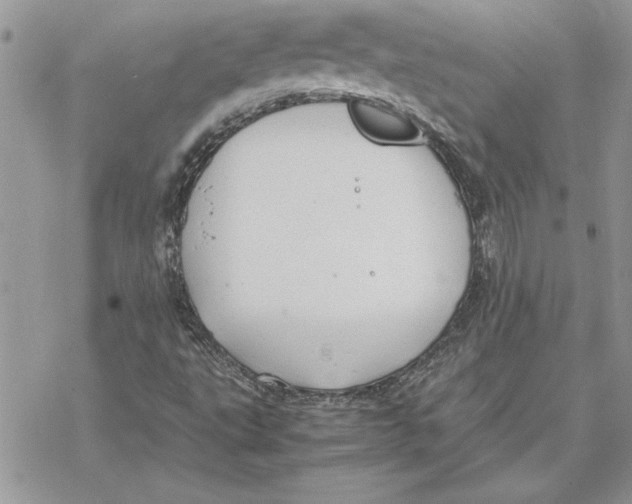 X0000069391495200606021618