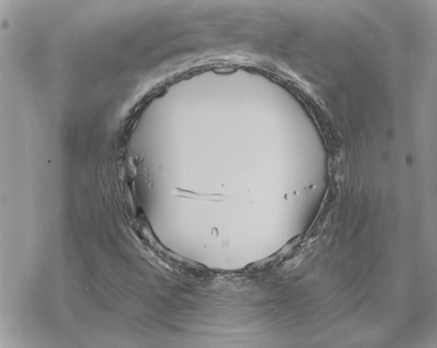 X0000069391496200606021618