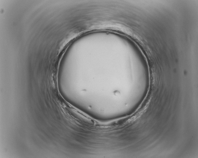 X0000069391497200606021618