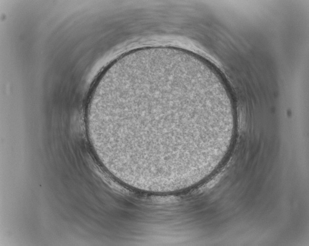 X0000069391498200606021619