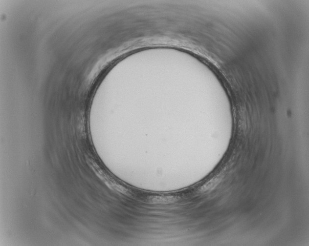 X0000069391499200606021619