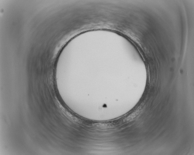 X0000069391500200606021619