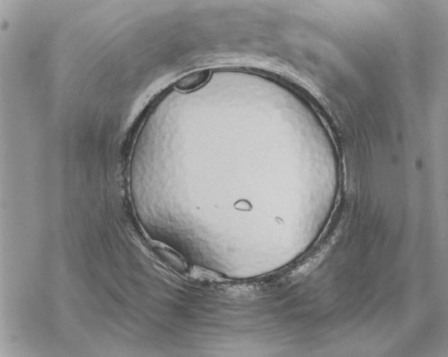 X0000069391501200606021619