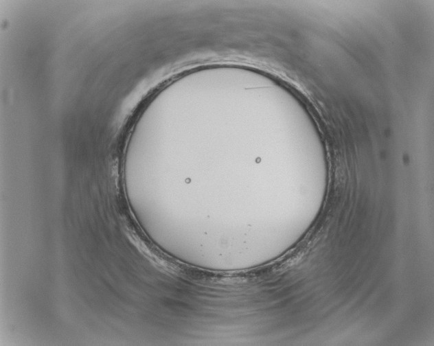 X0000069391503200606021619