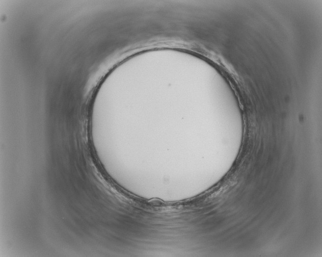 X0000069391504200606021619