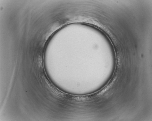 X0000069391505200606021619