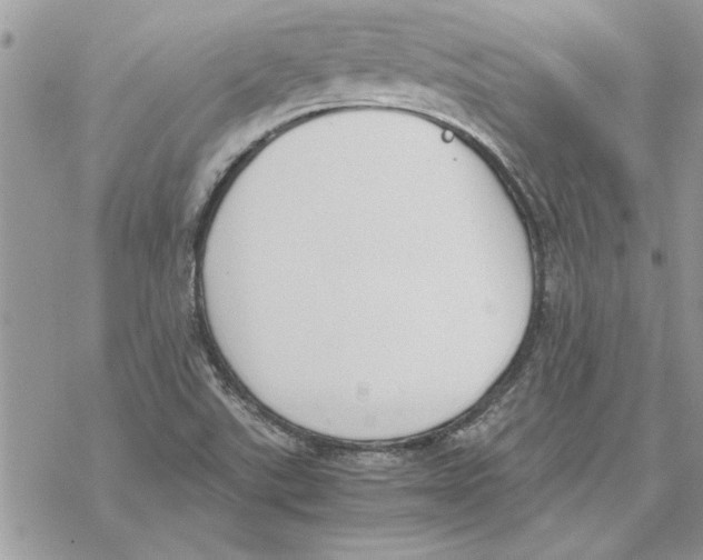 X0000069391507200606021619